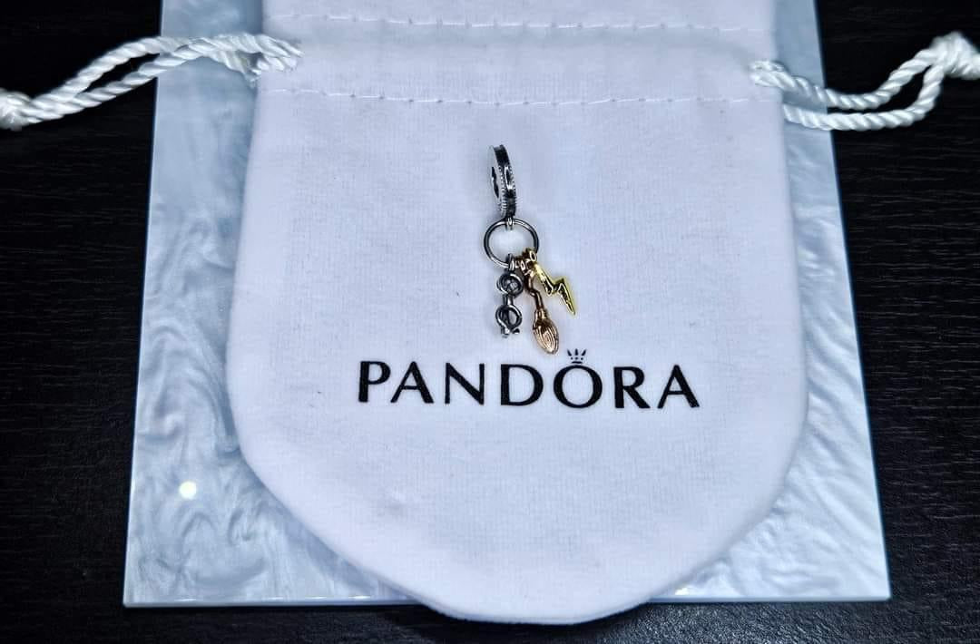 Charms Harry Potter